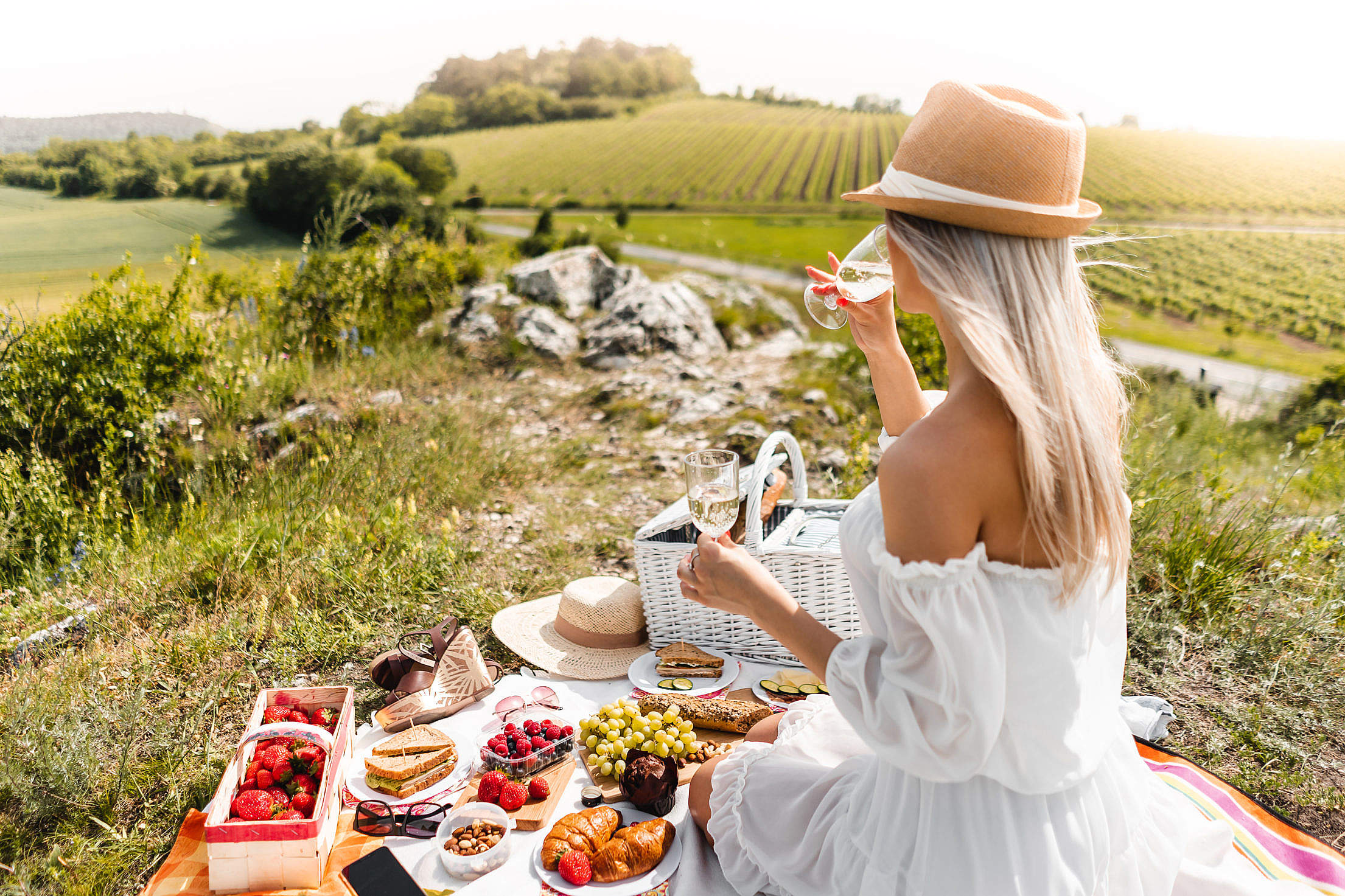 Woman Enjoying a Picnic in South Moravia Wine Region Free Stock Photo