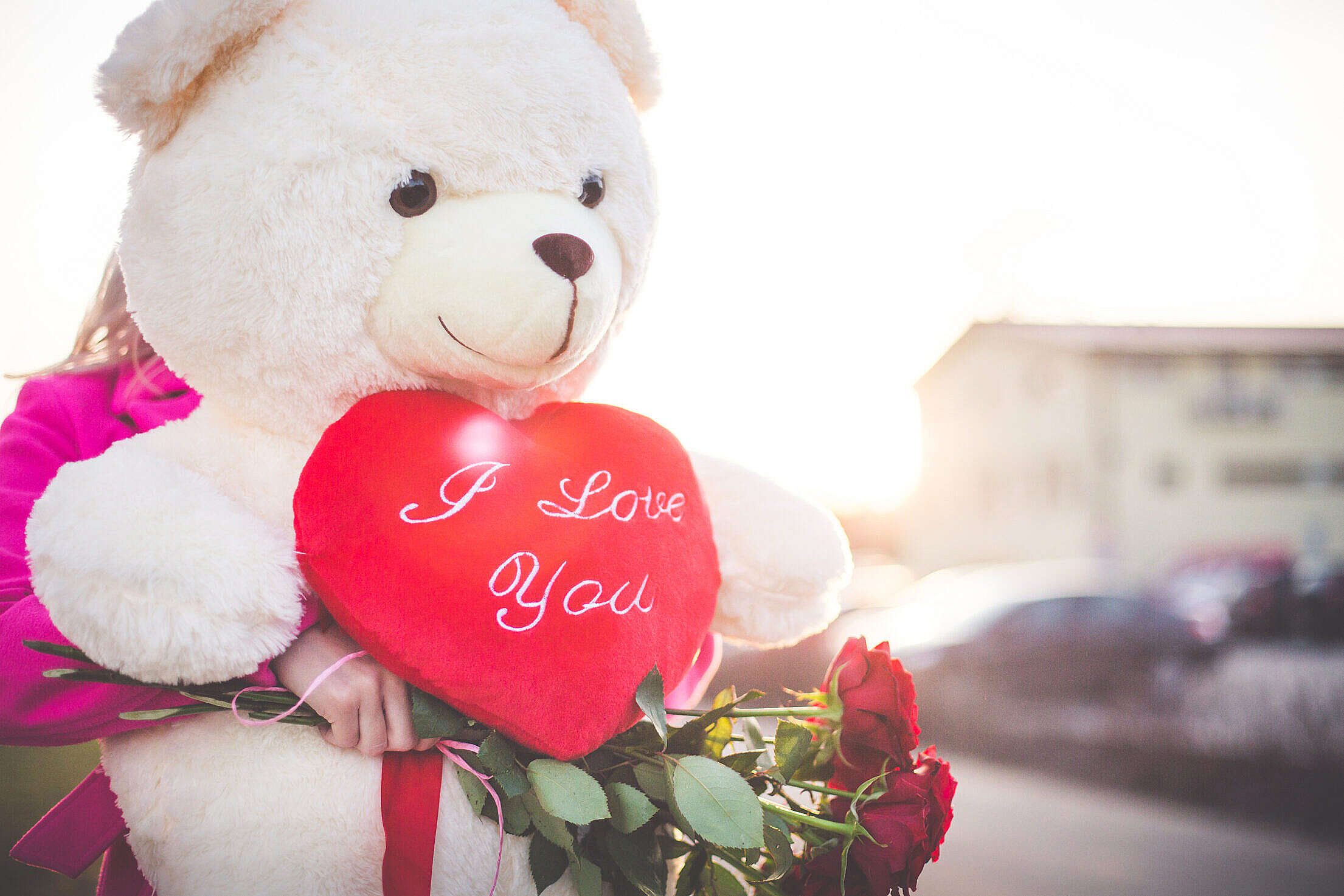 Woman Holding a Big Teddy Bear and Roses on Valentine’s Day Free Stock Photo