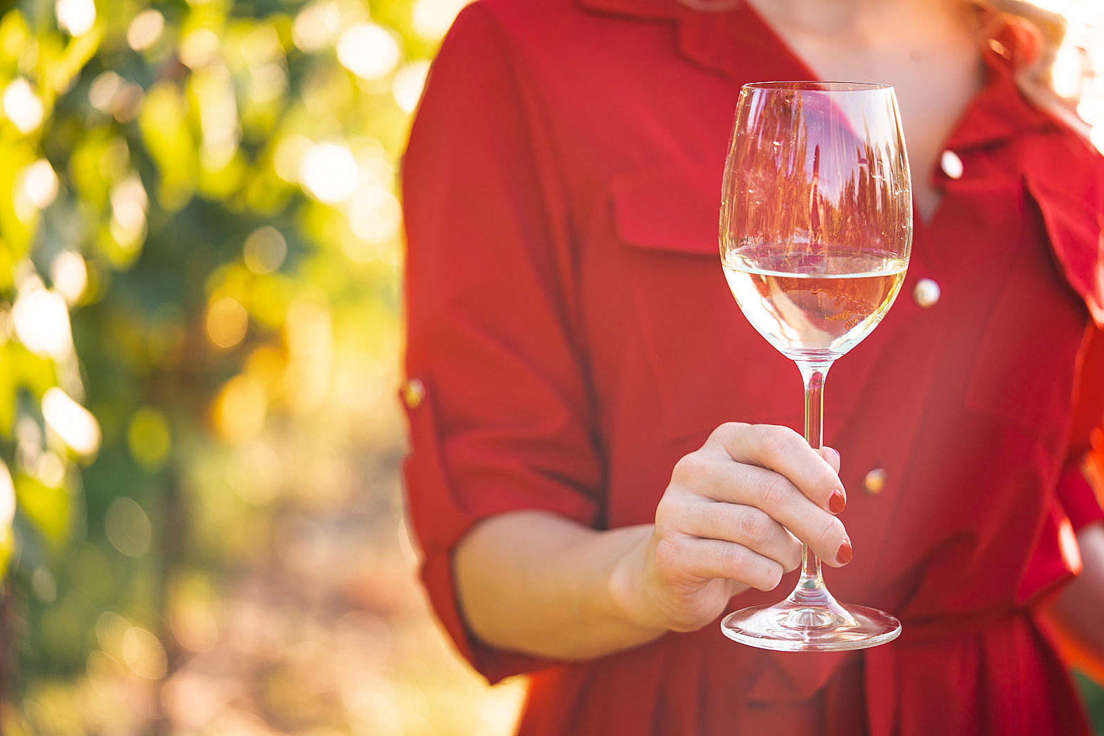 Woman Holding A Glass Of Wine In A Vineyard Free Stock