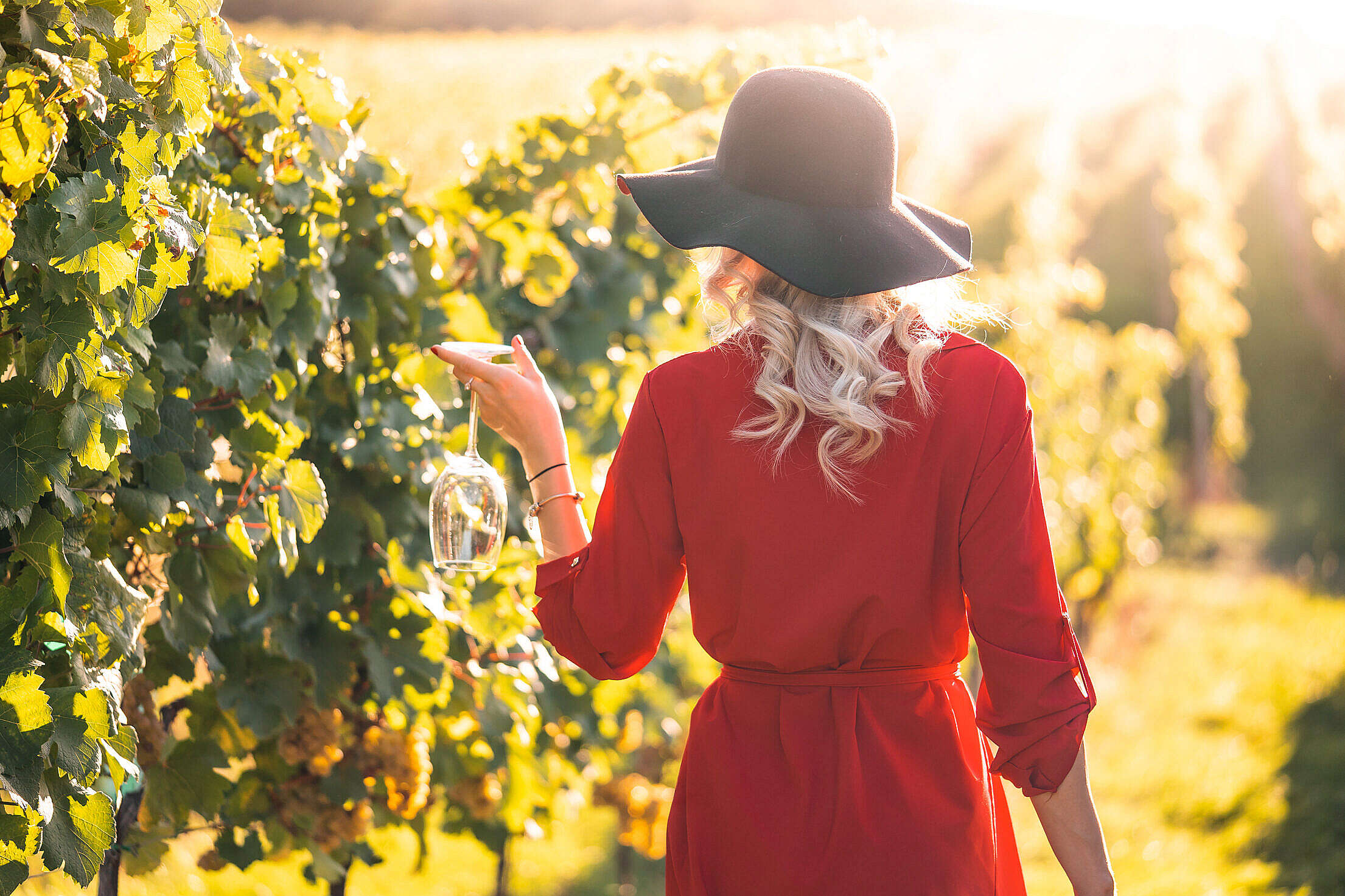 Woman in Red Dress Walking Through the Vineyard Free Stock Photo
