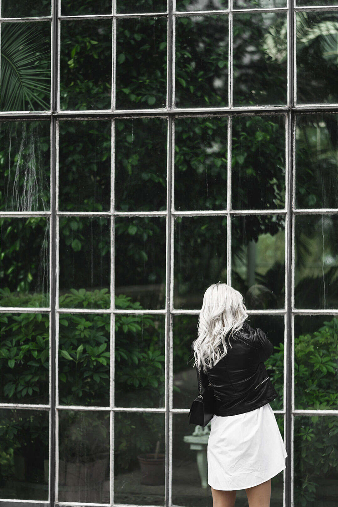 Woman Looking Through Old Windows of The Botanical Garden