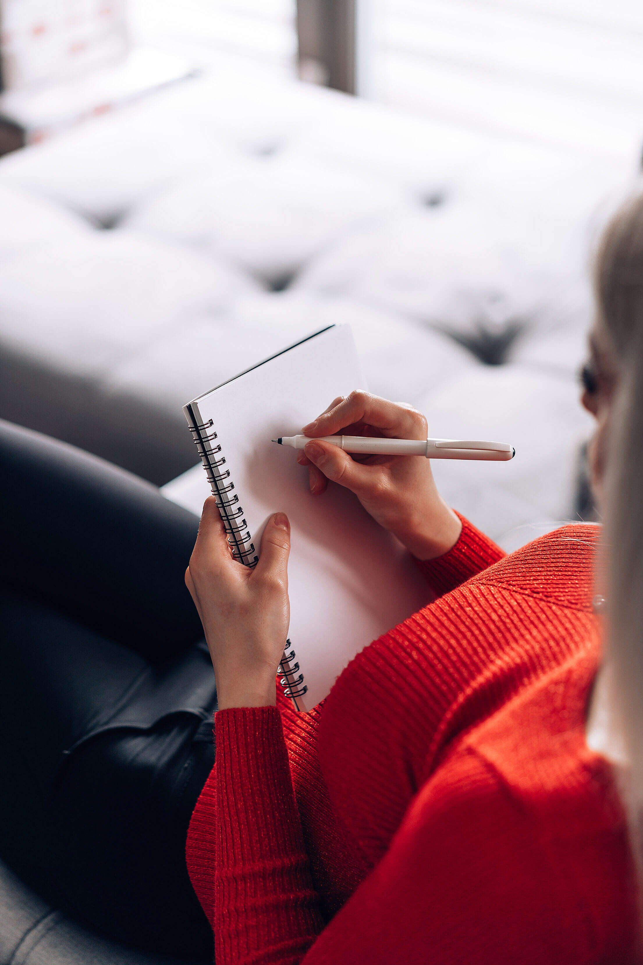 Woman Sitting on a Sofa and Writing in a Diary Free Stock Photo