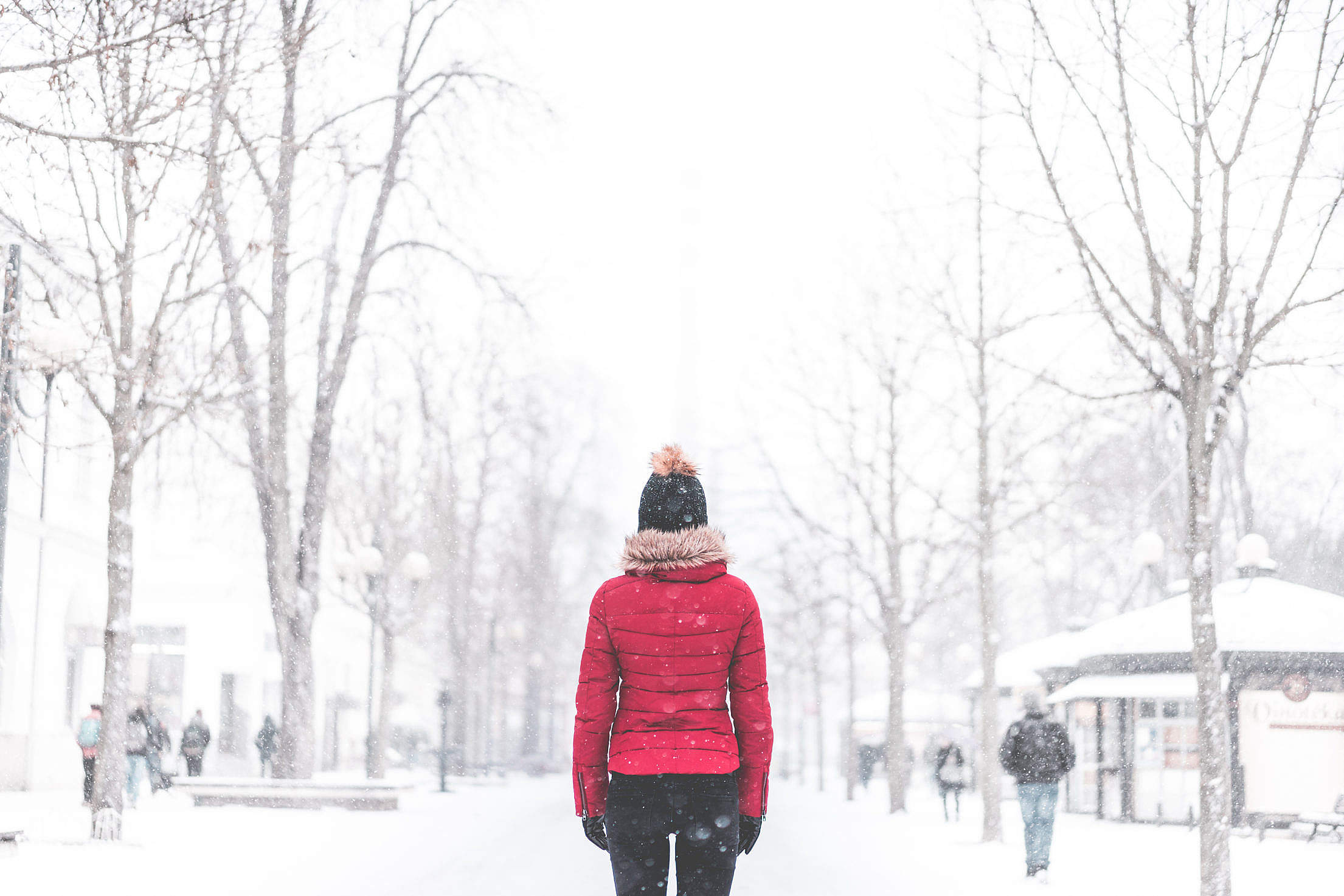 Woman Standing in The Middle of The Park in Snowy Weather Free Stock Photo