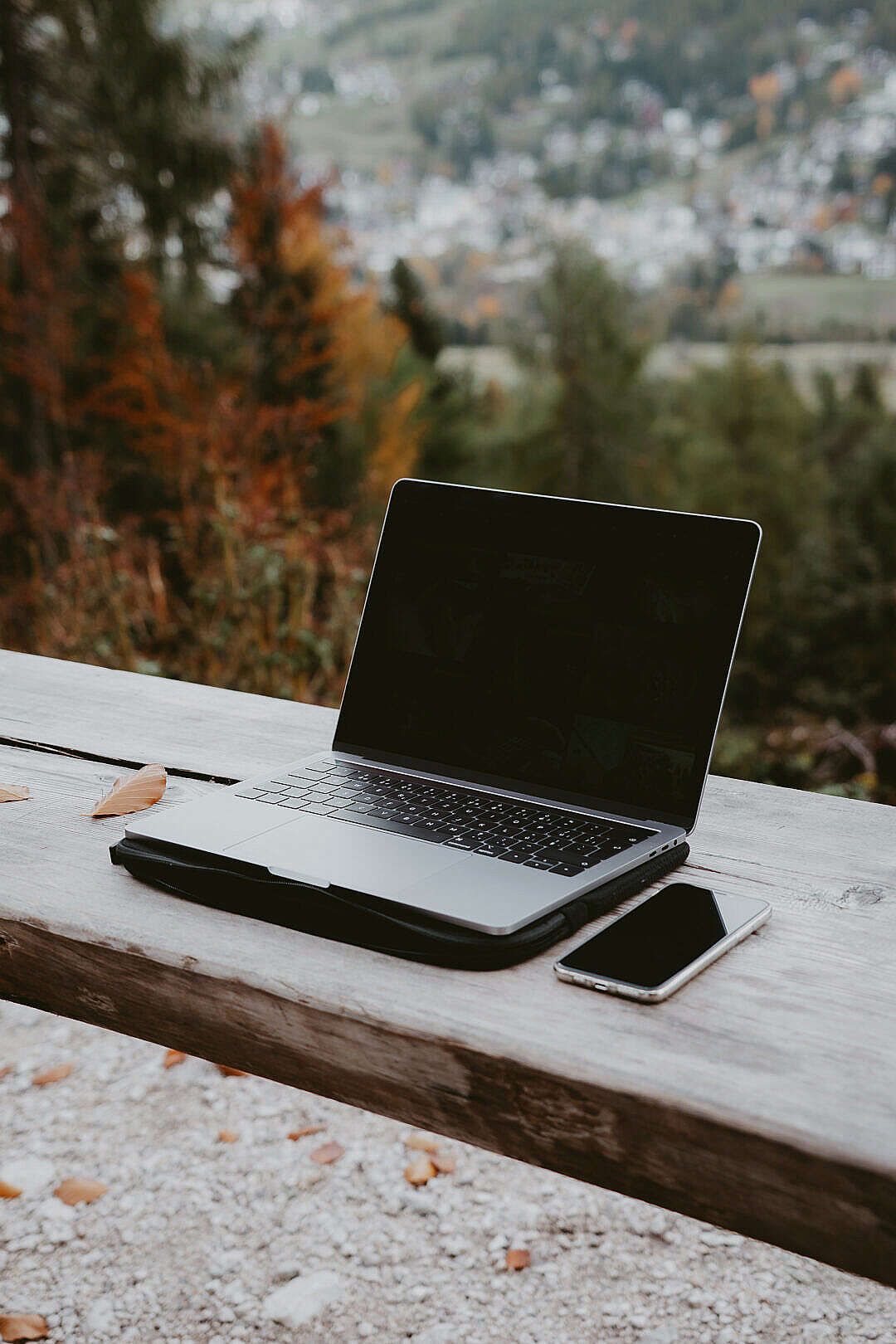 Work on a MacBook in The Nature