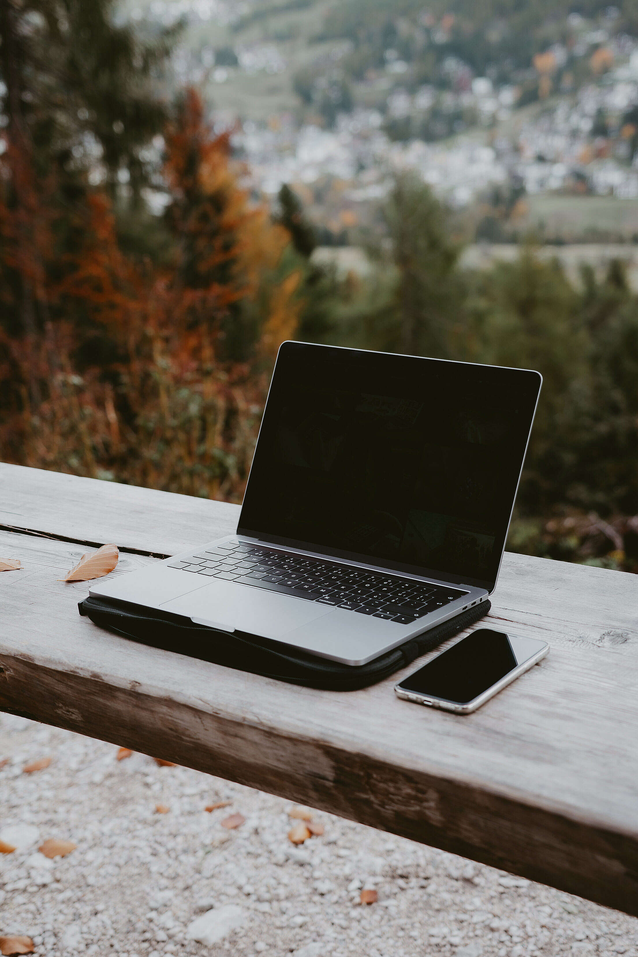 Work on a MacBook in The Nature Free Stock Photo