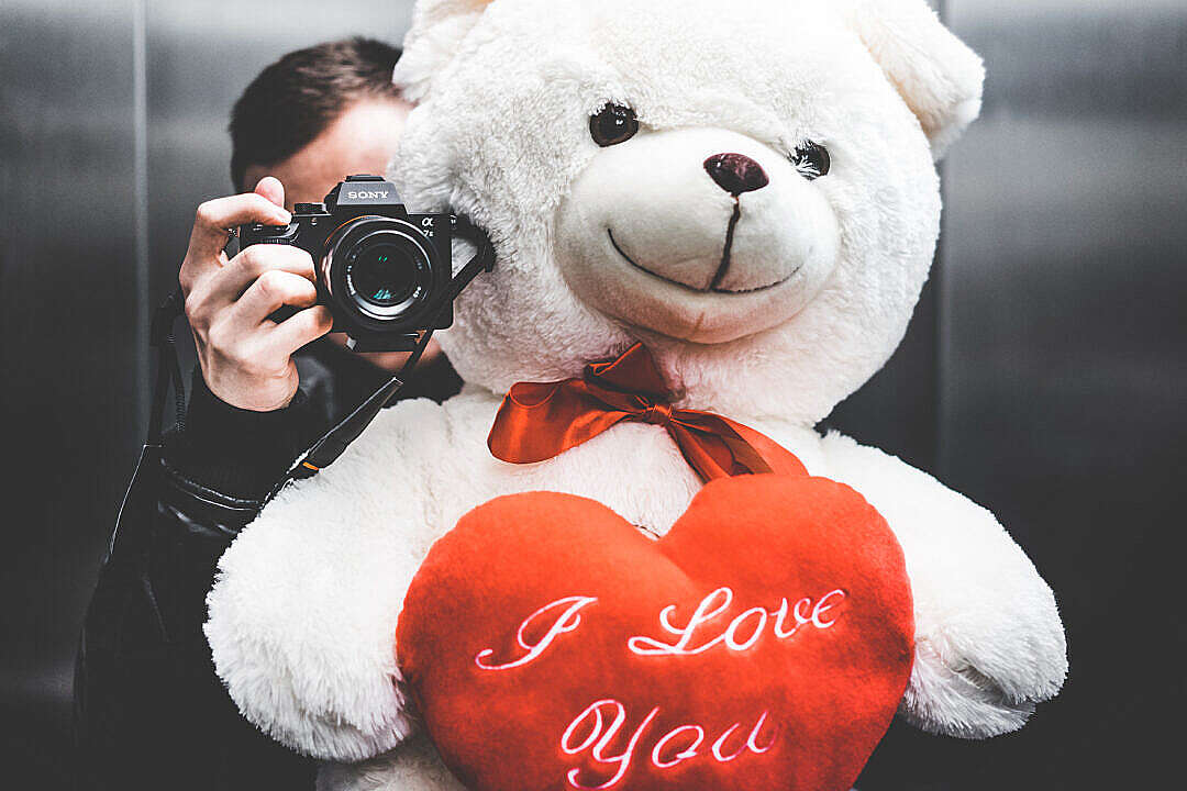 Download Young Man Taking Selfie with Big Teddy Bear for His Girlfriend in Elevator FREE Stock Photo