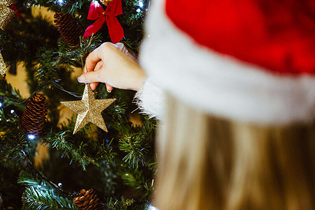 Download Young Woman Decorating a Christmas Tree FREE Stock Photo
