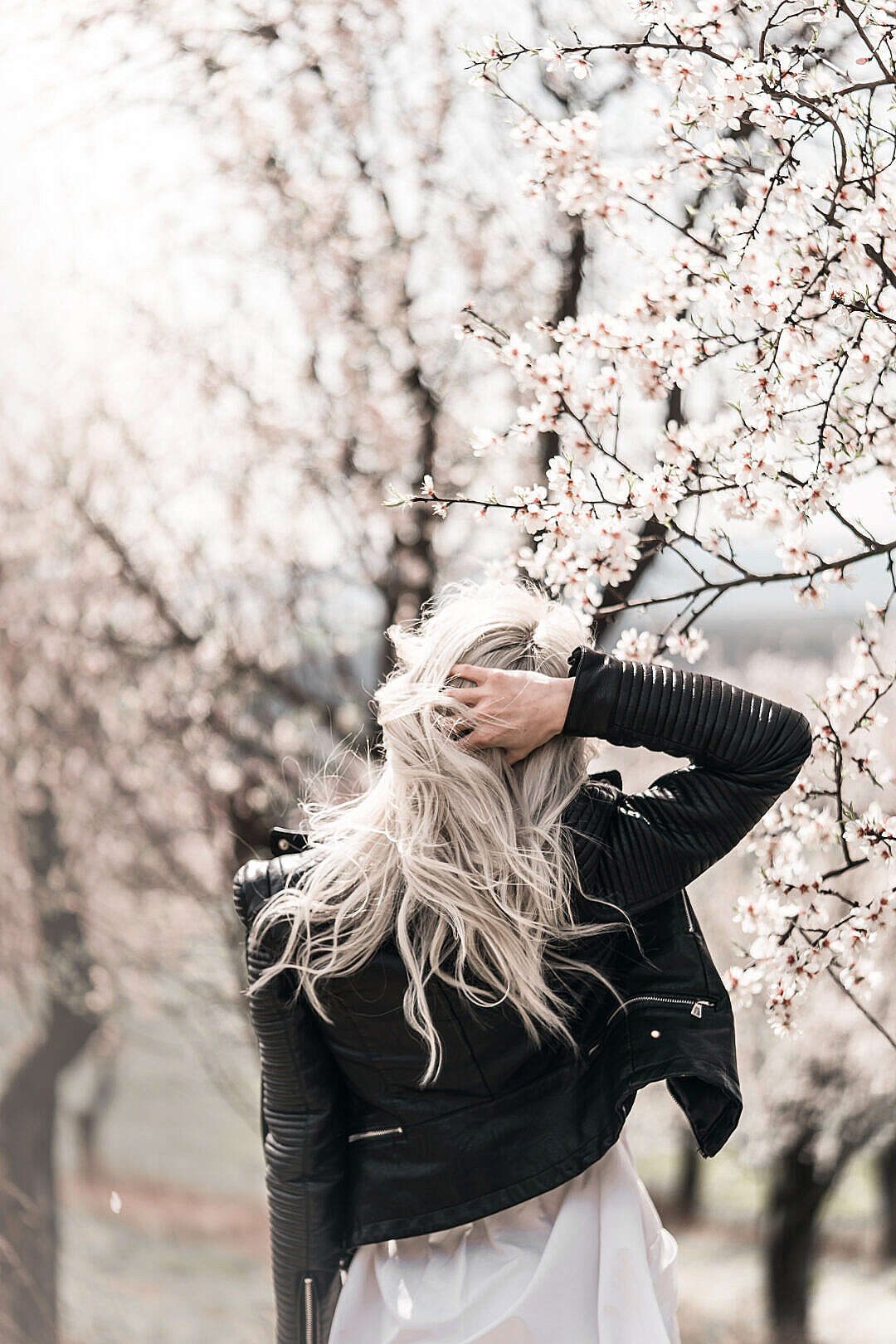 Young Woman Enjoying Moments in Almond Orchard