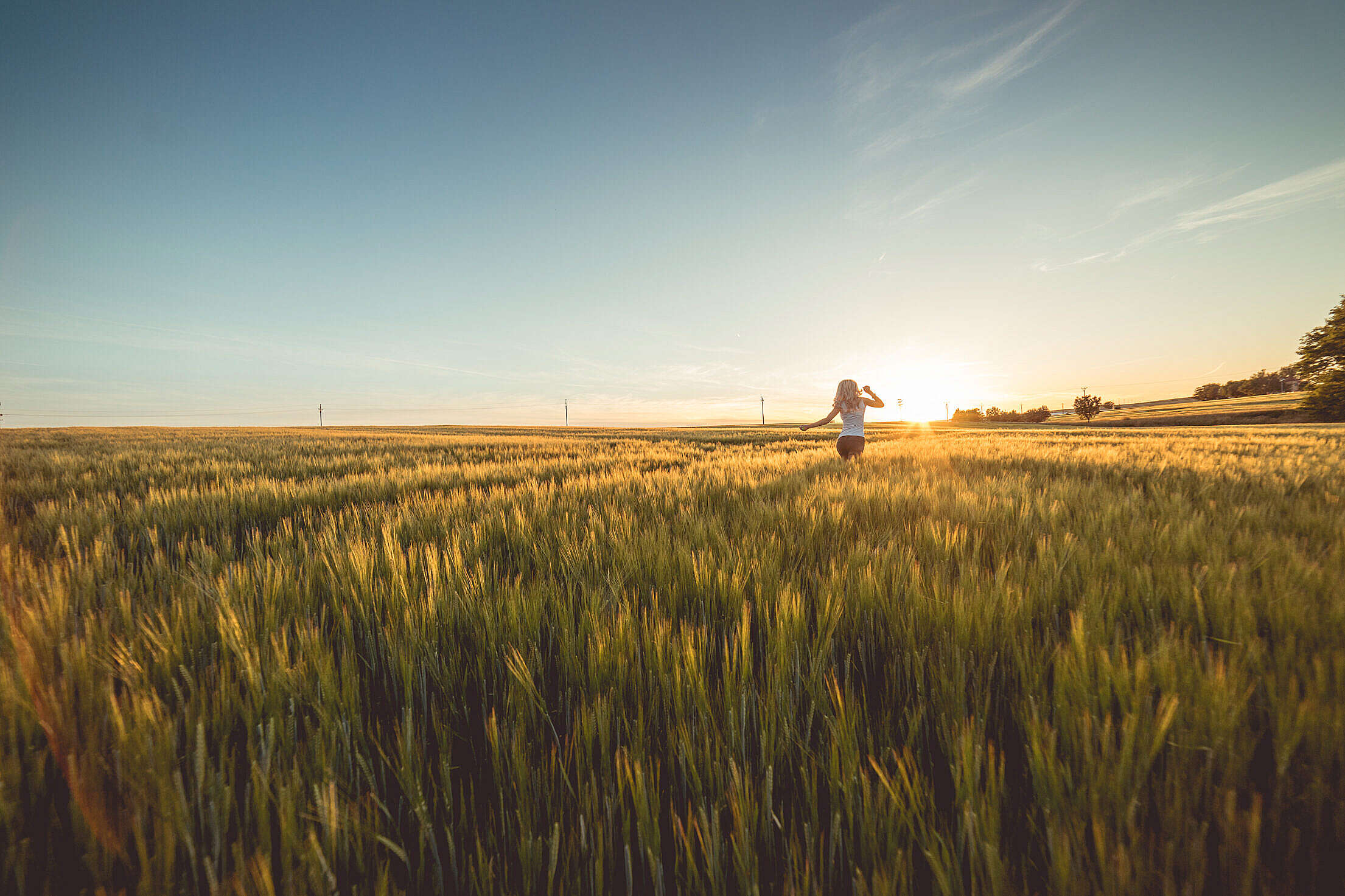 Young Woman Running Through Wheat Field on Sunset Free Stock Photo