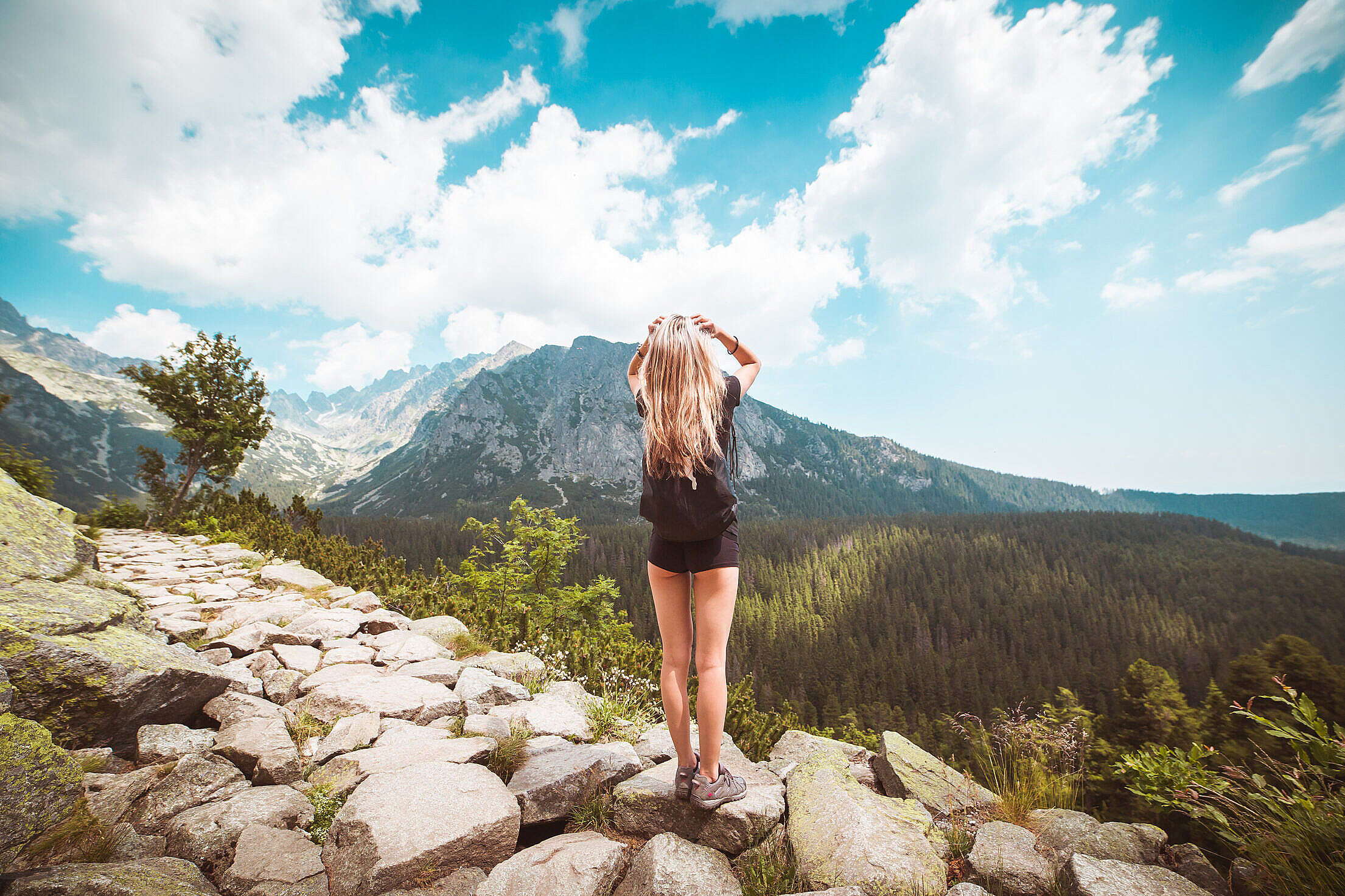 Young Woman Traveler Enjoying a View on High Tatras Mountains Free Stock Photo