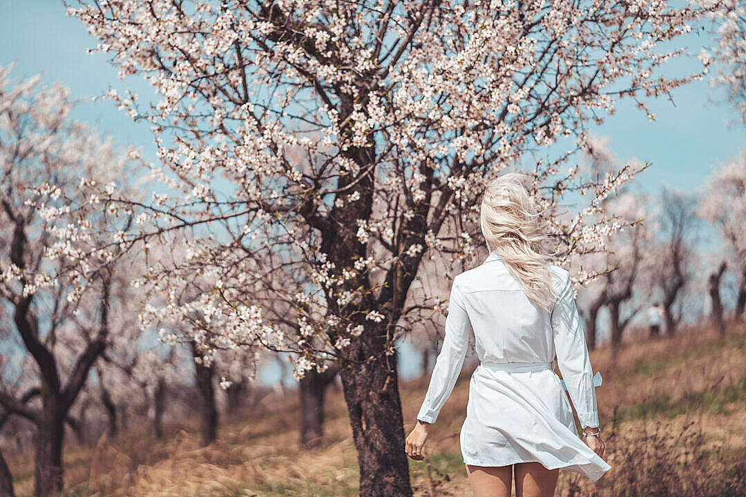 Download Young Woman Walking in an Almond Orchard FREE Stock Photo