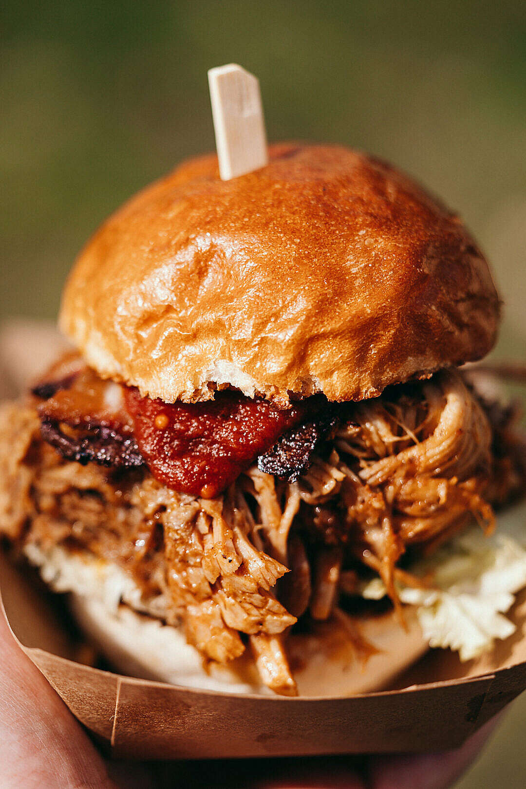 Download Yummy Pulled Pork Burger FREE Stock Photo
